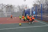 В Волгоградской области развивают инфраструктуру для занятий спортом В Волгоградской области развивают инфраструктуру для занятий спортом