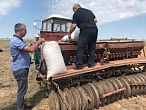 В Среднеахтубинском районе на месте бывших свалок сажают травы В Среднеахтубинском районе на месте бывших свалок сажают травы