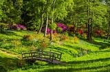 Прогулка в парке повышает настроение наравне с праздниками Прогулка в парке повышает настроение наравне с праздниками